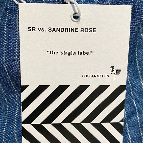 Sandrine Rose FREE PEOPLE Blue Pinstripe Zip Denim Jumpsuit Slouchy Utility Sz S - Picture 5 of 8